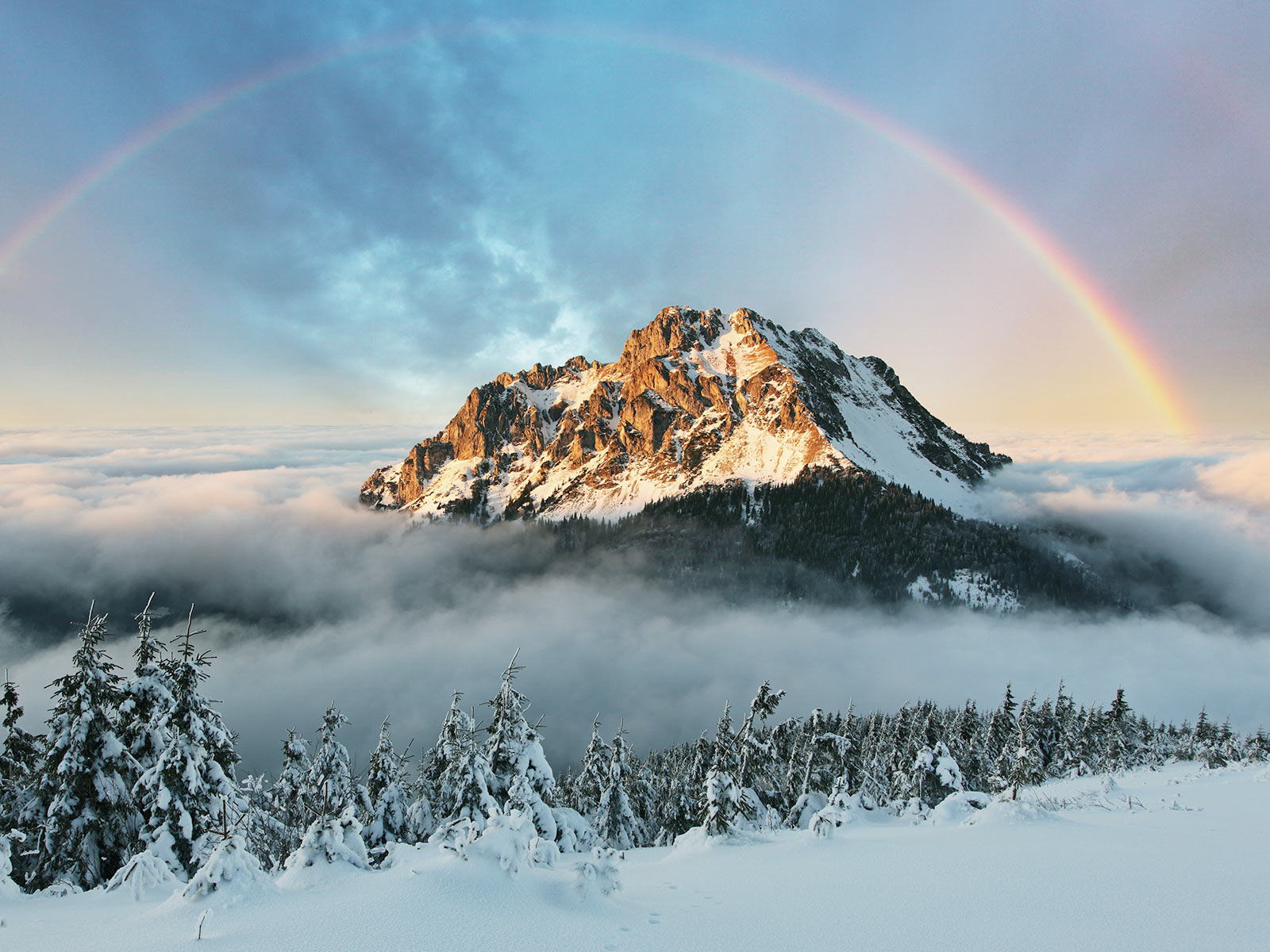 Different Kinds of Rainbows, Our Blog