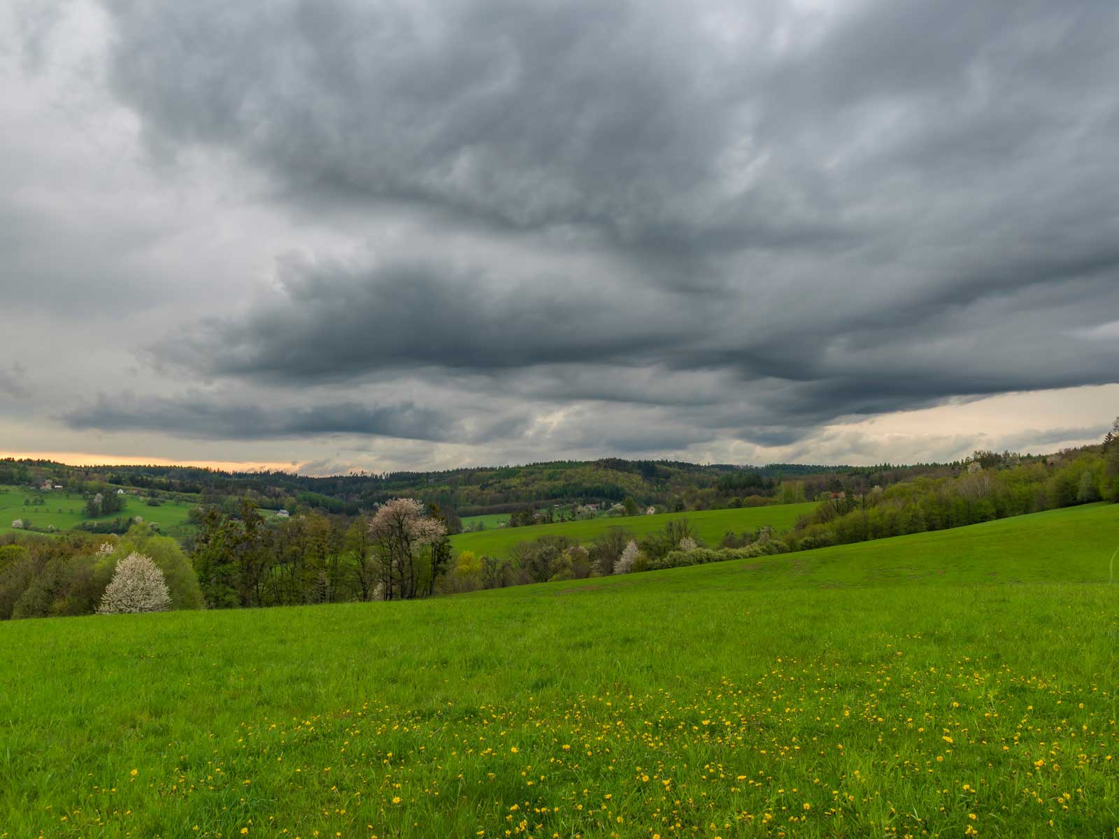 MicroStep-MIS | Nowcasting of convective rainfall