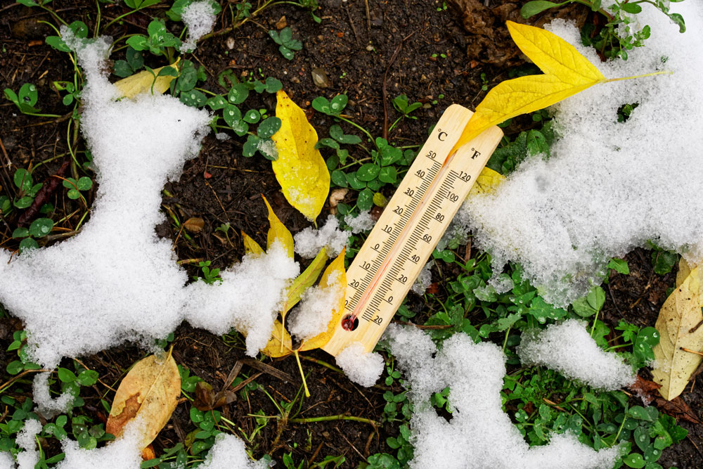 MicroStep-MIS | Weather Blog